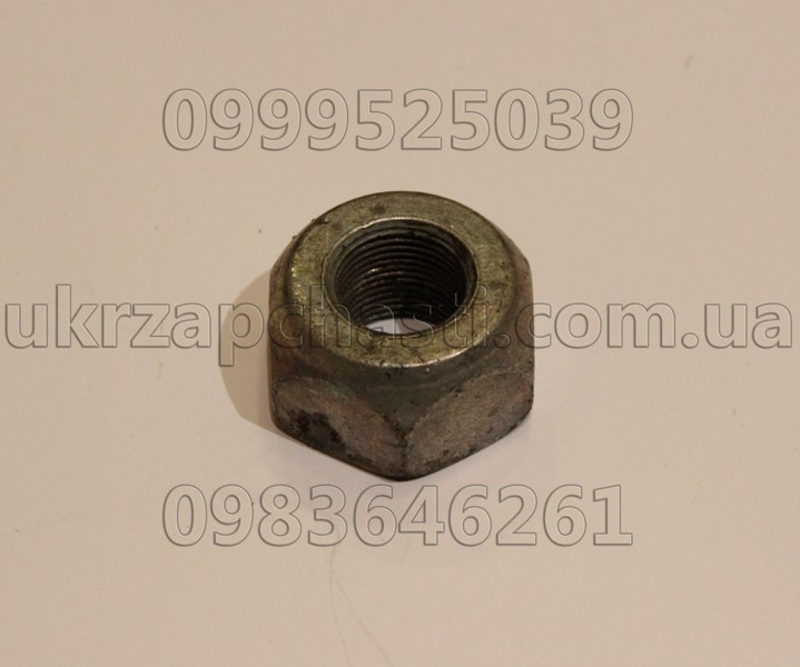 Гайка колеса Г-53,3307,ПАЗ передняя правая 250712-П29